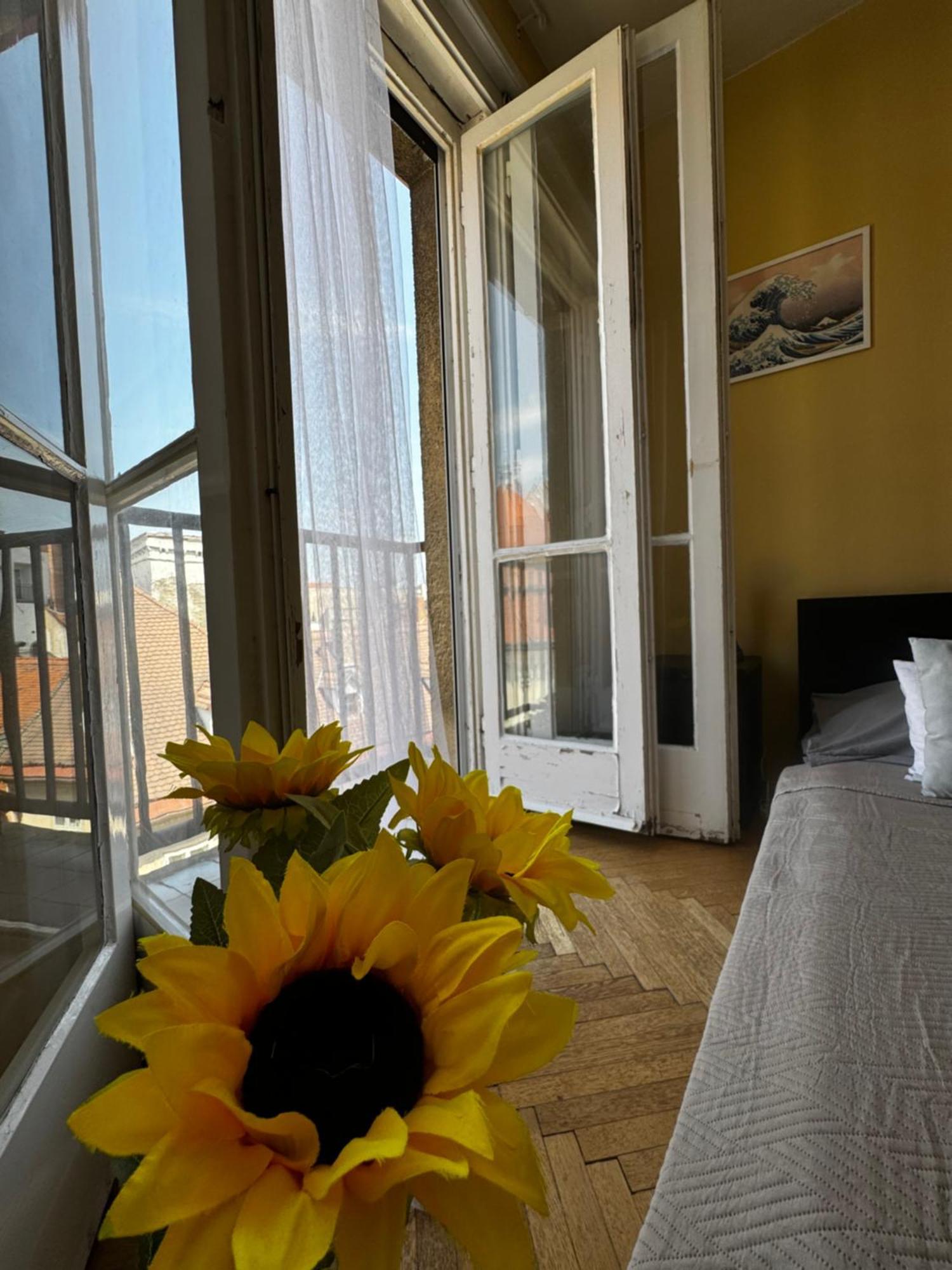 Extralarge Queen Room In The Heart Of Bratislava With Terrace Exterior foto